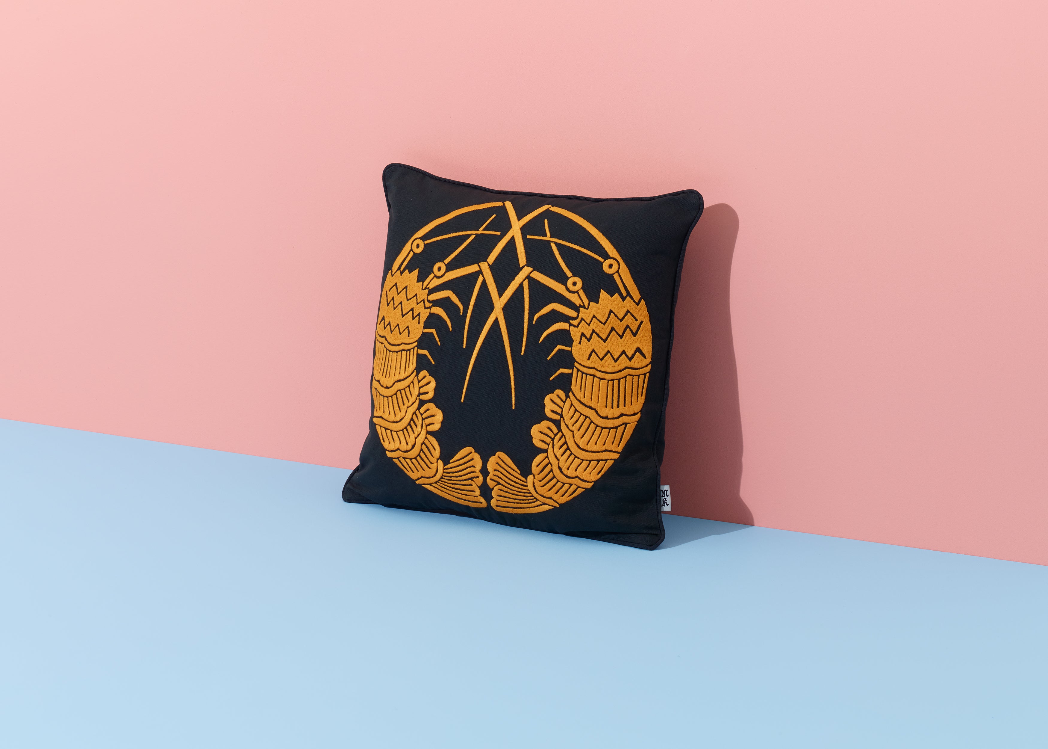 Nazanin Kamali Pops up at Case