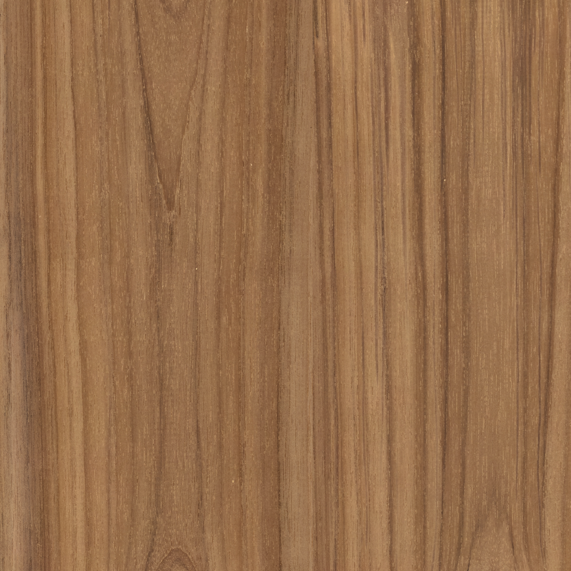 A close-up of the outdoor Teak wood grain texture with vertical lines and natural tonal variation.