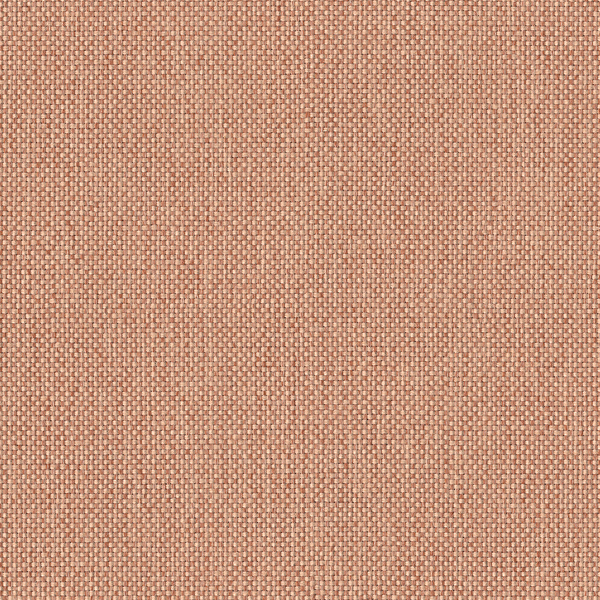 Mode Blush Fabric Swatch