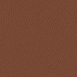 Kalahari Leather - Case Furniture