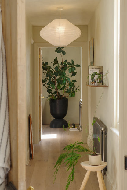 Narrow Hall with plants lightened by a paper lantern 