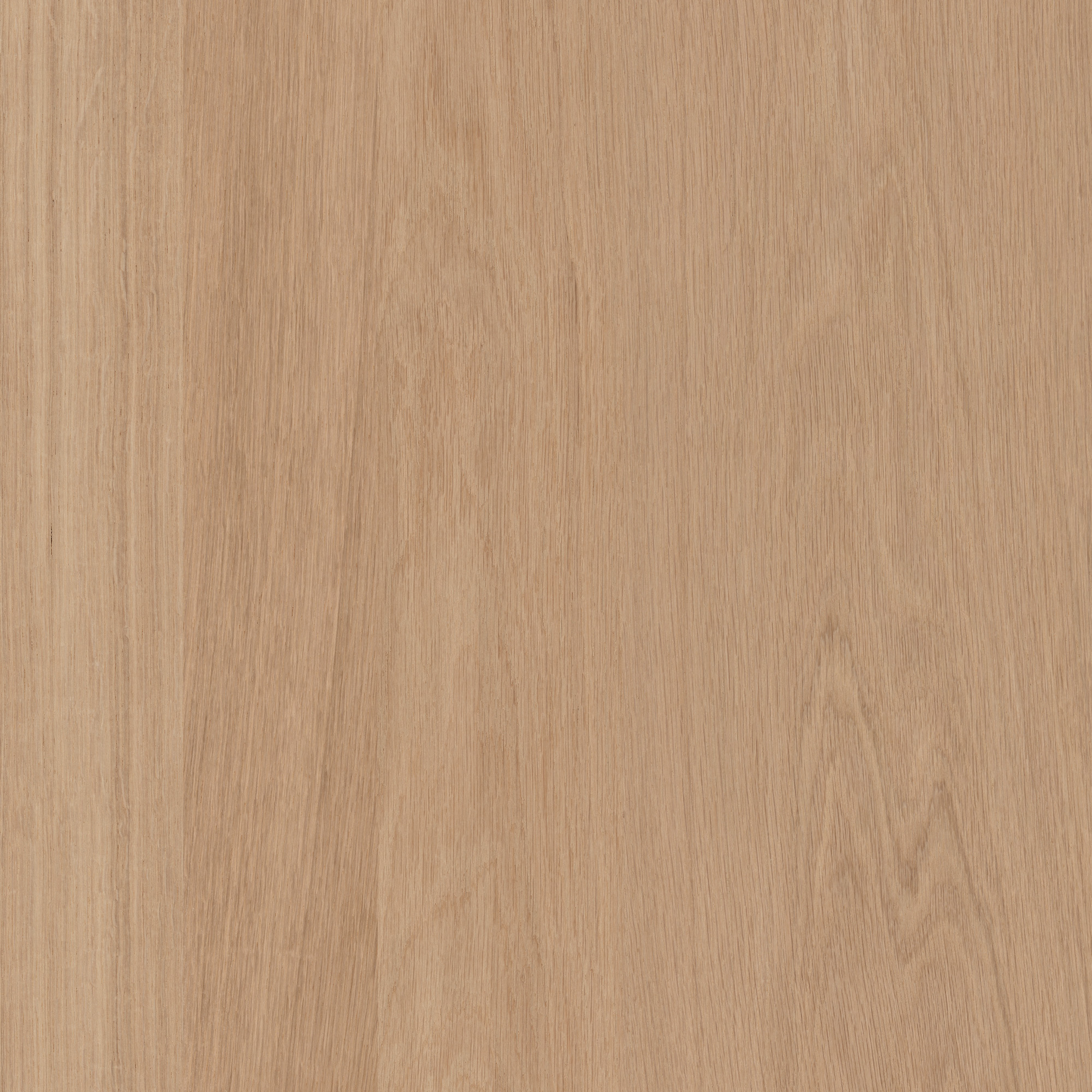 A close-up of the light oak wood grain texture, showing natural grain in warm beige and tan tones.