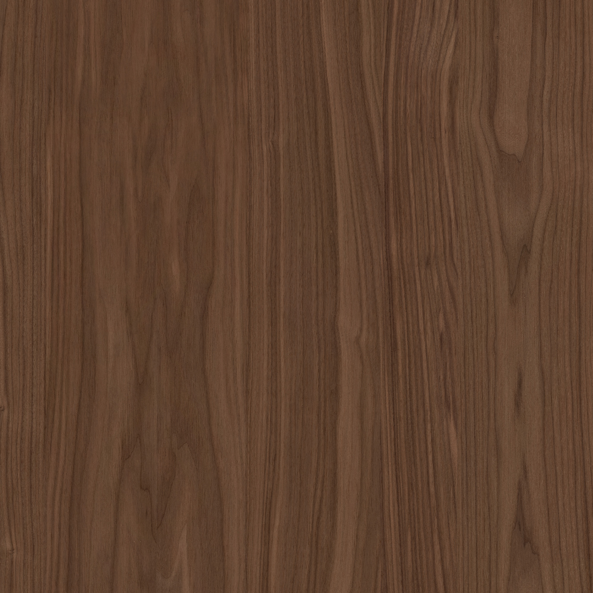 A close-up of a Walnut wood grain texture showing the variation in colour and tone
