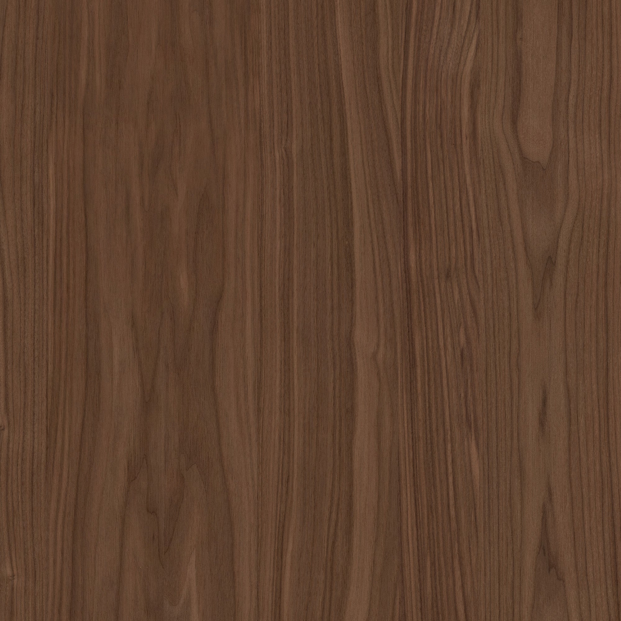 A close-up of the Walnut wood grain texture showing the variation in colour and tone