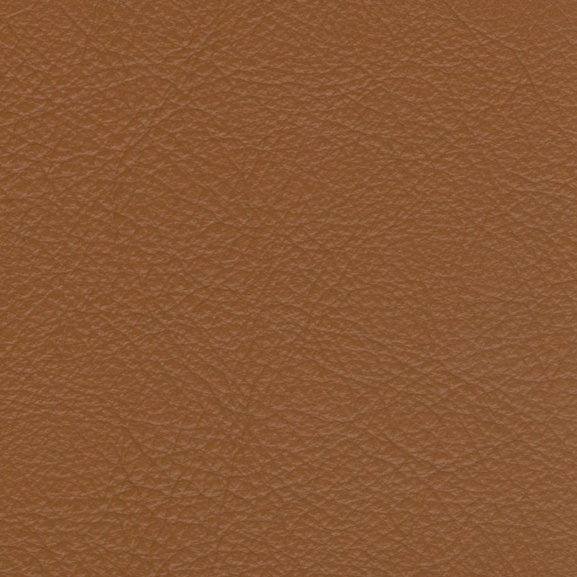 Sydney Leather