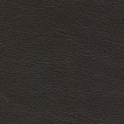 Sydney Leather