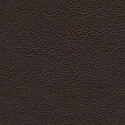 Sydney Leather Dark Brown