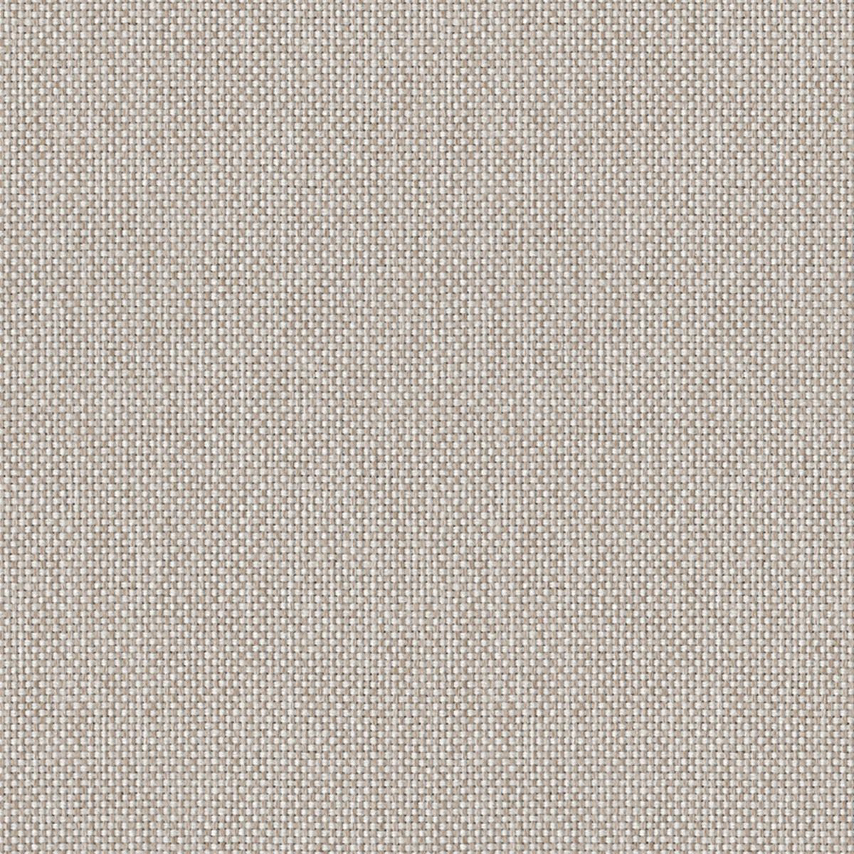 Mode Clavicle Fabric Swatch