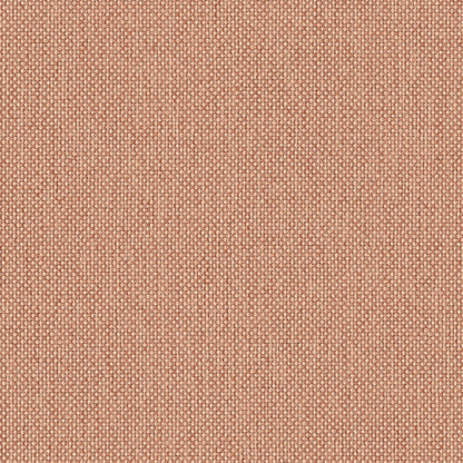 Mode Blush Fabric Swatch