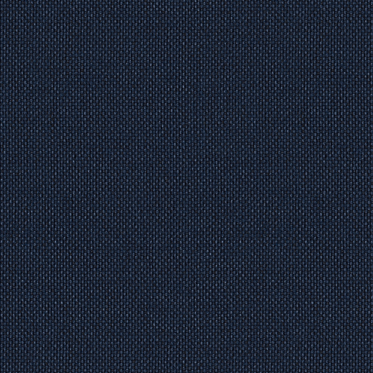 Mode Society Fabric Swatch