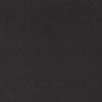 Montana Leather in black