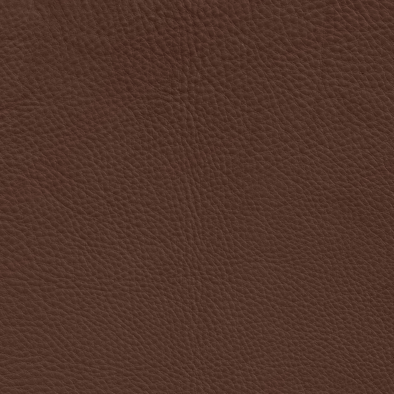 Montana Leather in dark brown