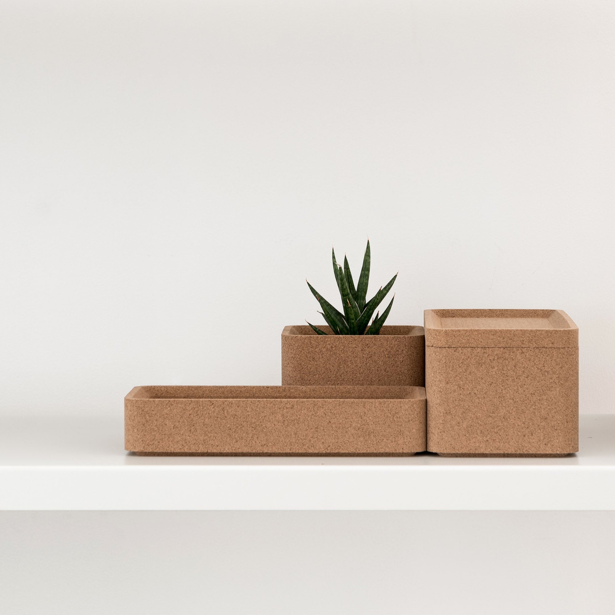 Rectangular Box Shelf Trove Rectangular Box | Home Storage Boxes | Case Furniture